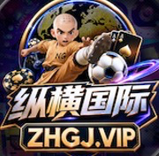 纵横国际